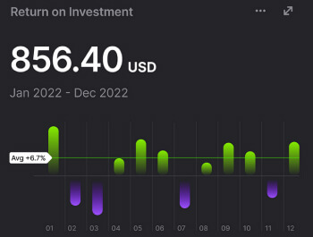 Return on investment chart
